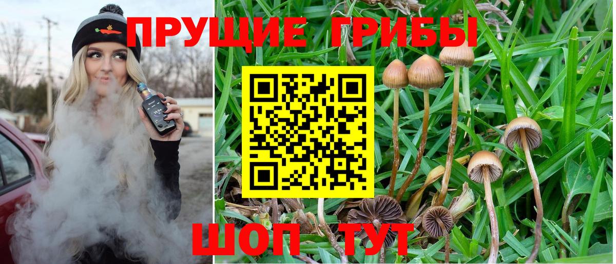 Псилоцибиновые грибы ЛСД Еманжелинск