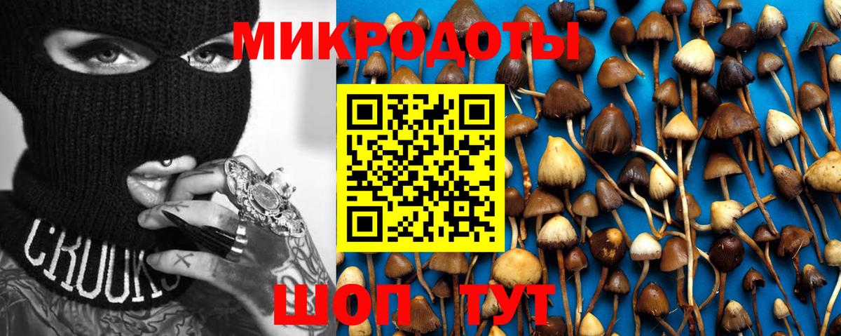 Псилоцибиновые грибы Psilocybine cubensis  Вход с VPN  Еманжелинск 